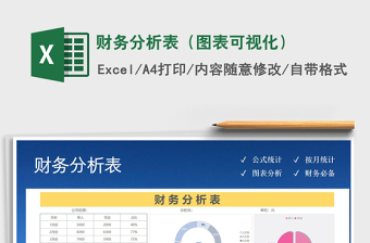 2021年財務(wù)分析表（圖表可視化）