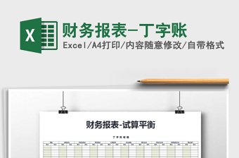 2021年財(cái)務(wù)報(bào)表-丁字賬