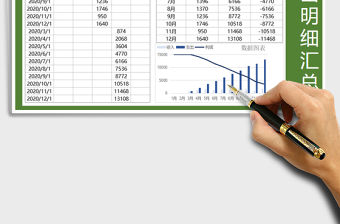 2021年收入支出明細匯總表