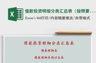 2021年借款投資明細分類匯總表（按照要求進行查詢帶視頻操作