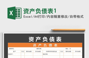 2021年資產(chǎn)負(fù)債表1