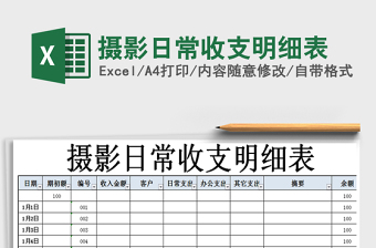 2021年攝影日常收支明細(xì)表