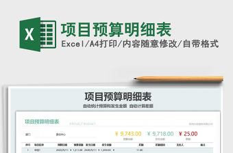 2021年項目預算明細表