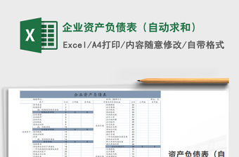 2021年企業資產負債表（自動求和）