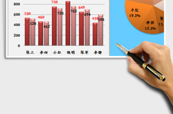 2021年双胞胎饼图-去年与今年数据对比