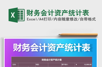 2021年財務(wù)會計資產(chǎn)統(tǒng)計表