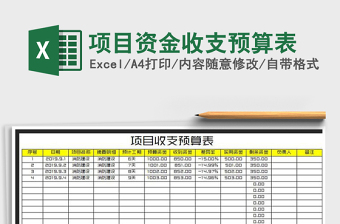 2021年项目资金收支预算表