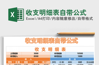2021年收支明細表自帶公式
