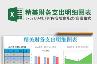 2021年精美財(cái)務(wù)支出明細(xì)圖表免費(fèi)下載
