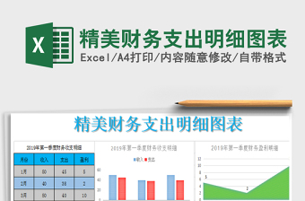 2021年精美財務(wù)支出明細圖表免費下載