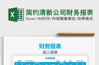 2021年簡約清新公司財務報表