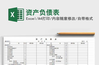 2021年資產(chǎn)負(fù)債表