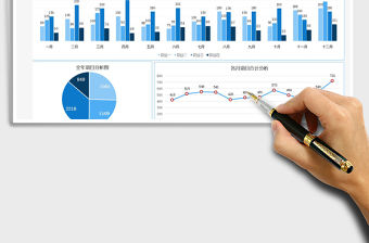 2021年全年項目收入圖表分析