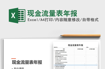 2021年現(xiàn)金流量表年報(bào)