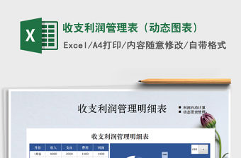 2021年收支利潤管理表（動態圖表）