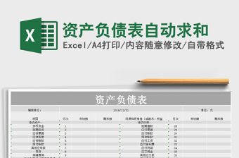 2021年資產負債表自動求和