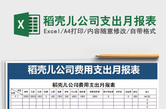 2021年稻殼兒公司支出月報表