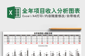 2021年全年項目收入分析圖表