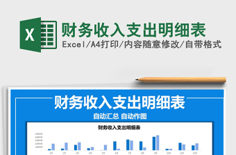 2021年財務收入支出明細表