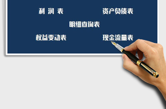 2021年收入支出财务系统（附报帐表）