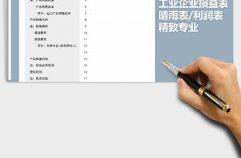 2021年精致專業(yè)工業(yè)企業(yè)損益表（利潤(rùn)表）