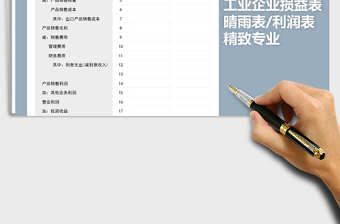 2021年精致专业工业企业损益表（利润表）