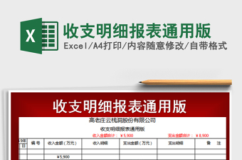 2021年收支明細(xì)報(bào)表通用版