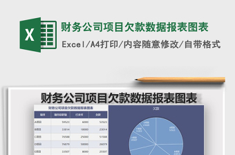 2021年財務公司項目欠款數(shù)據(jù)報表圖表免費下載