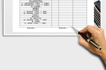 2021年財(cái)務(wù)損益明細(xì)表