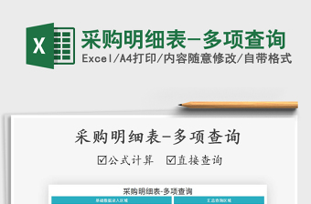 2021年采購明細(xì)表-多項(xiàng)查詢
