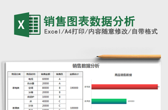 2021年销售图表数据分析