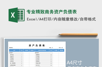 2021年專業(yè)精致商務(wù)資產(chǎn)負(fù)債表