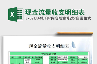 2021年現(xiàn)金流量收支明細表