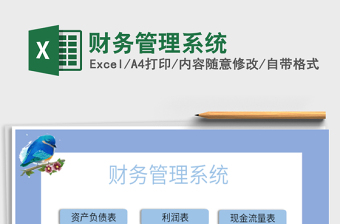 2021年財務管理系統(tǒng)
