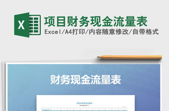 2021年項目財務現金流量表