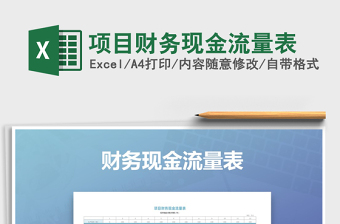 2021年項目財務現(xiàn)金流量表