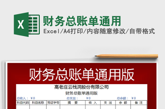 2021年財務(wù)總賬單通用