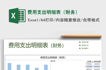 2021年費(fèi)用支出明細(xì)表（財(cái)務(wù)）
