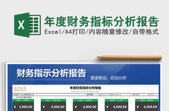 2021年年度財(cái)務(wù)指標(biāo)分析報(bào)告