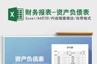 2021年財(cái)務(wù)報(bào)表-資產(chǎn)負(fù)債表