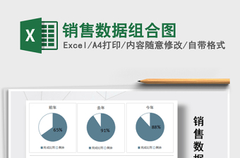 2021年銷售數(shù)據(jù)組合圖