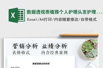 2021年數據透視表植雅個人護理頭發護理系列銷售分析