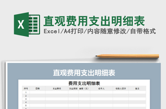 2021年直觀費用支出明細(xì)表
