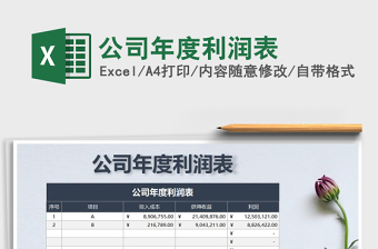 2021年公司年度利潤表