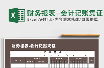 2021年財(cái)務(wù)報(bào)表-會(huì)計(jì)記賬憑證