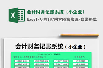 2021年會(huì)計(jì)財(cái)務(wù)記賬系統(tǒng)（小企業(yè)）
