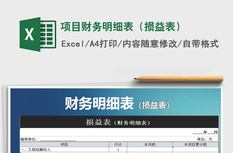 2021年项目财务明细表（损益表）