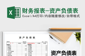 2021年財(cái)務(wù)報(bào)表-資產(chǎn)負(fù)債表