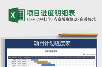 2021年項目進度明細表