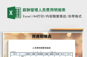 2021年薪酬管理人員費用明細表